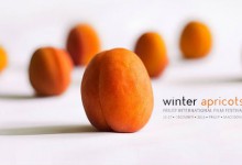 Winter Apricots – Prilep Film Festival